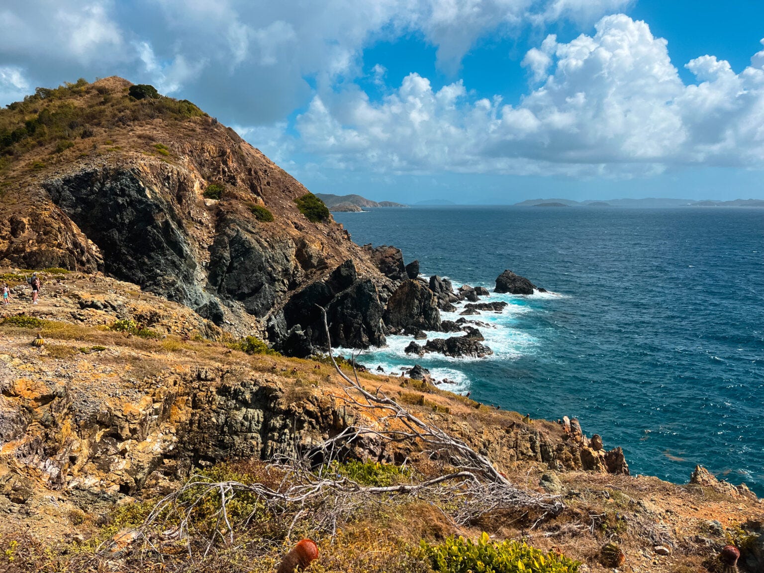 Wander Weekly #67: Book It Now