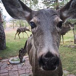 Don't Forget to Breathe