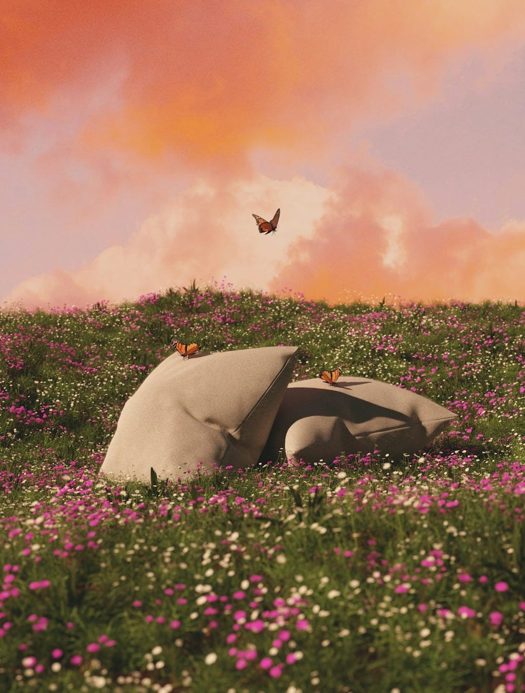 a person laying in a field of flowers