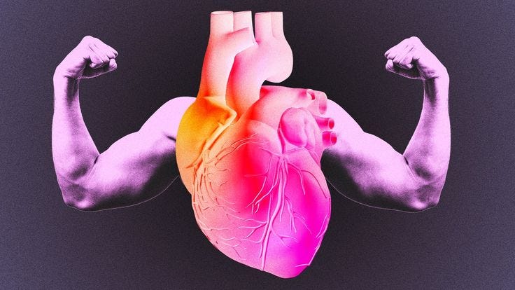 This may contain: an image of a man's heart with muscles highlighted in pink and orange colors