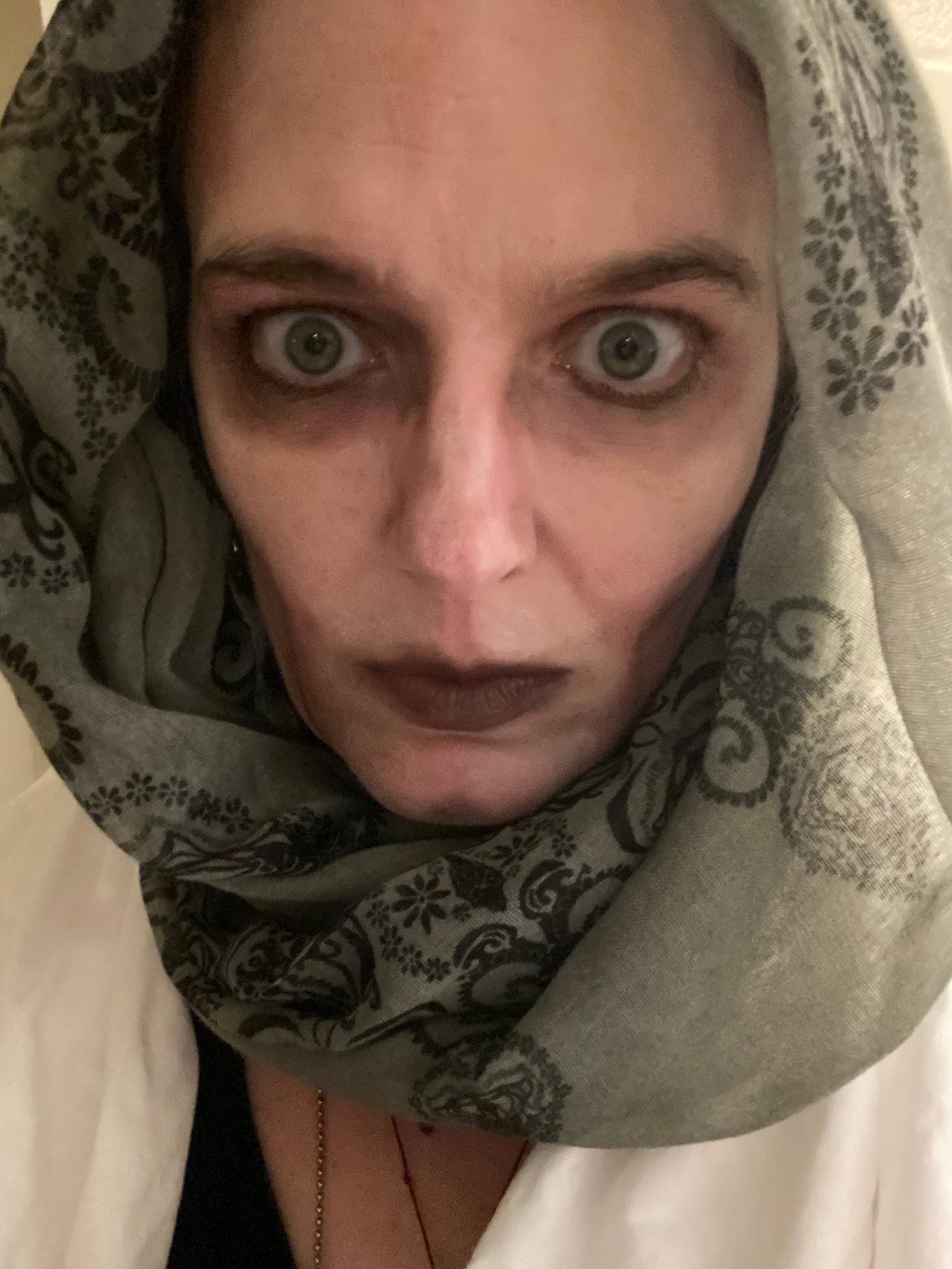 My face, painted with white, purple and black makeup so that I look sort of dead and spooky. My eyes are wide and I have a gray patterned scarf wrapped around my head like a hood. Boo.