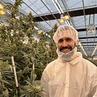 My Most Comprehensive Cannabis Update Yet (Part 1)