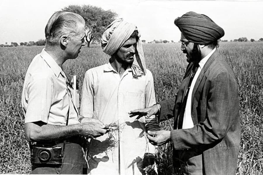 Economic Milestone: Green Revolution (1963) - Forbes India