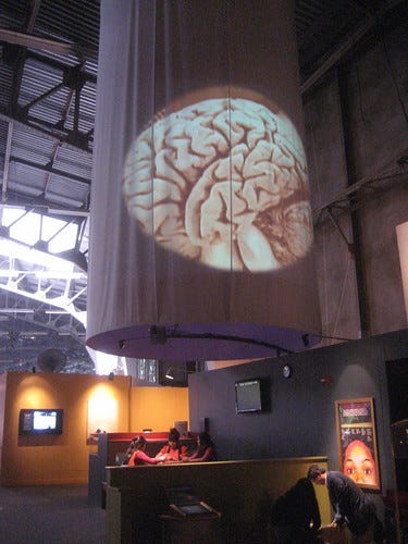 More brains