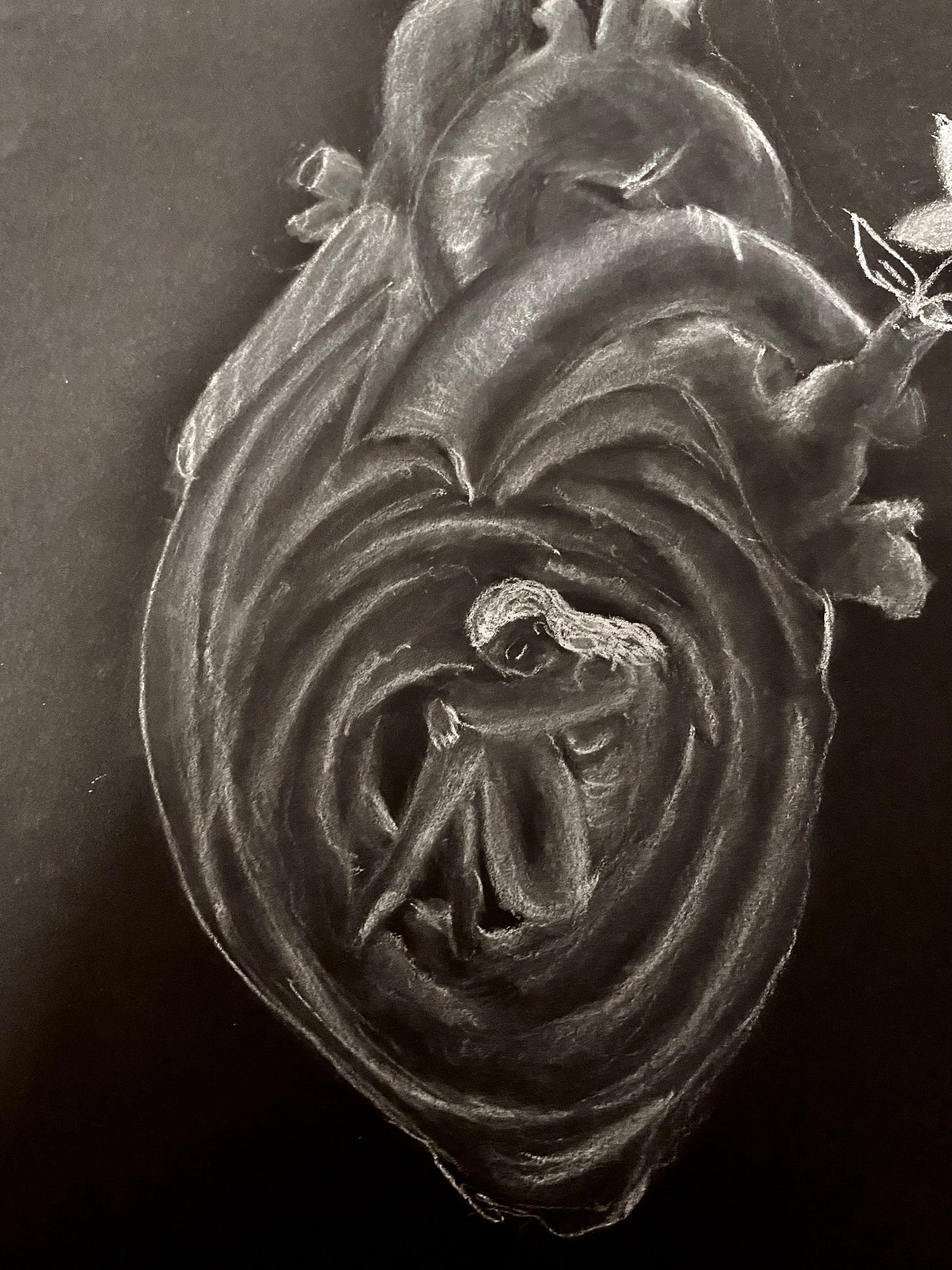 drawing of a female figure within a human heart, white on black