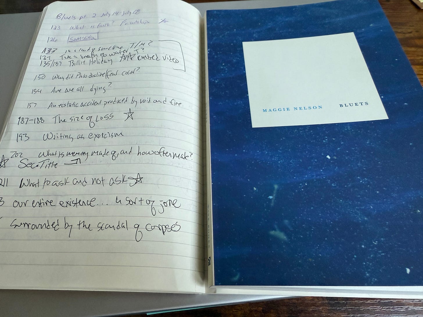 open notebook and Bluets