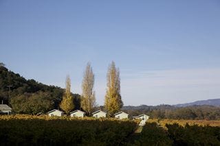 A - Napa Valley @ 700 dpi 24 A - Napa Valley @ 700 dpi 24