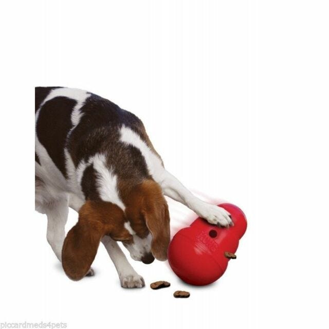 Kong Wobbler Dog Toy - Small - VioVet