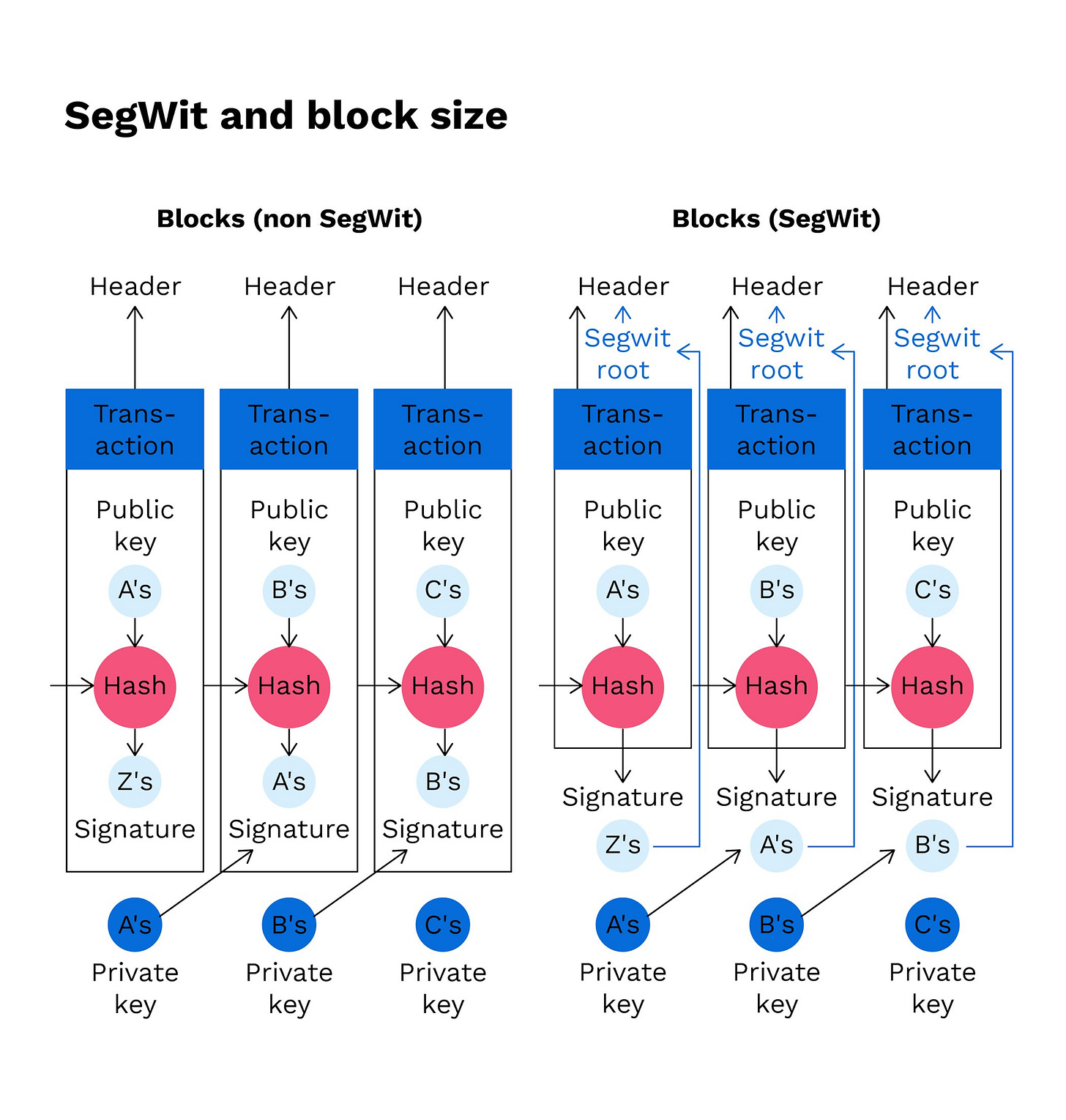 What is SegWit (Segregated Witness) and how does it work? — Bitpanda Academy