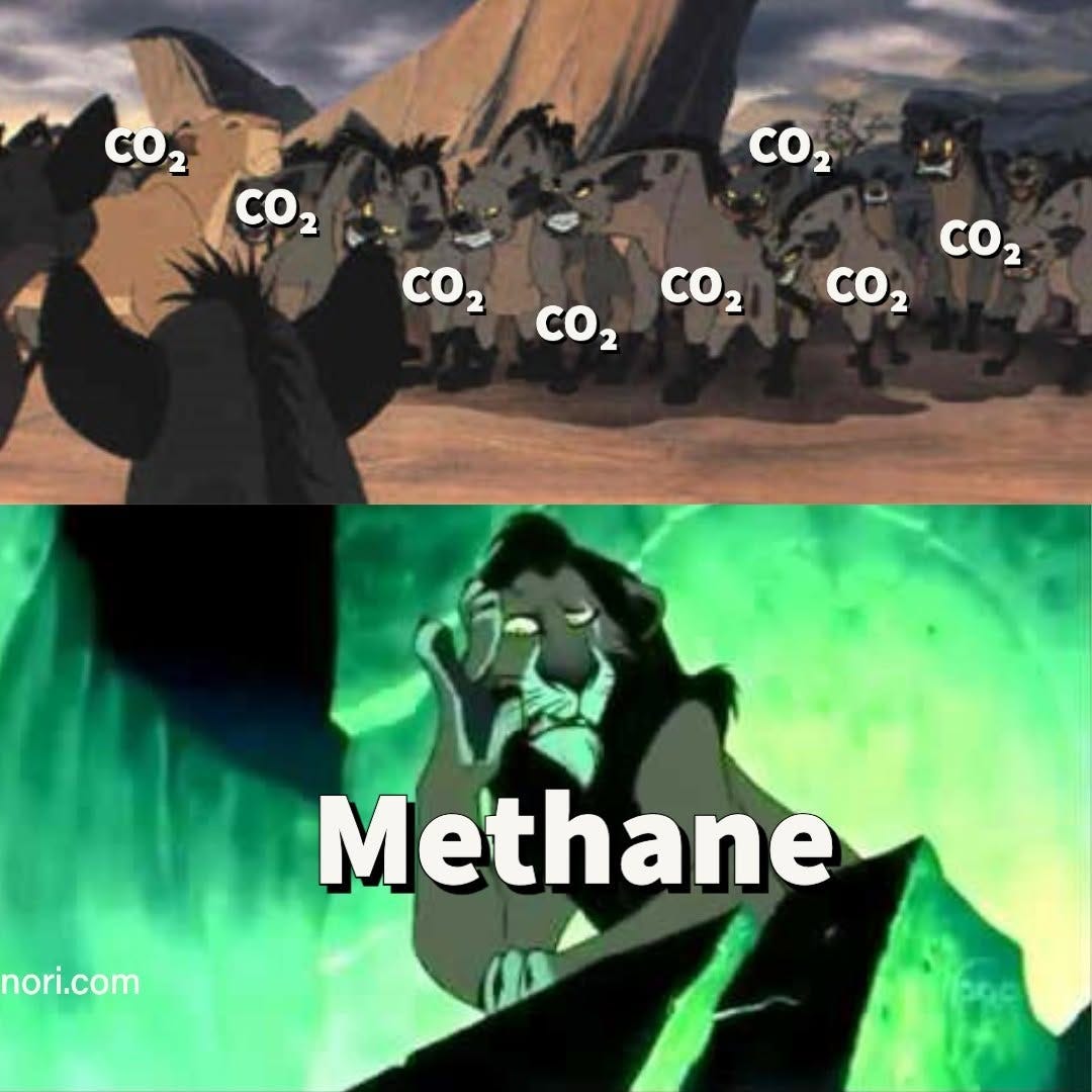 Two Lion King stills. A pack of hyenas, each labelled "CO2". Below, Scar in green light, labelled "Methane".