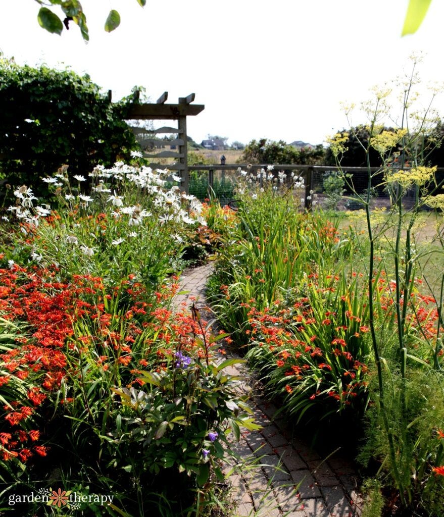 wildlife border and pathway wildlife border and pathway