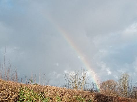 1. Birch against a much welcome blue sky. 2. My First Primrose. 3. A Rainbow of Hope & Blessings.e