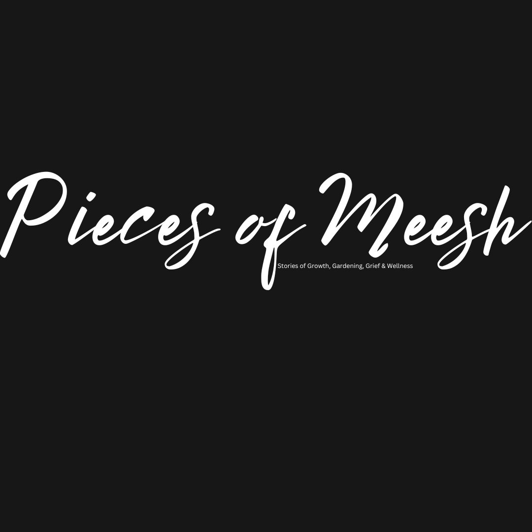 piecesofmeesh's Substack