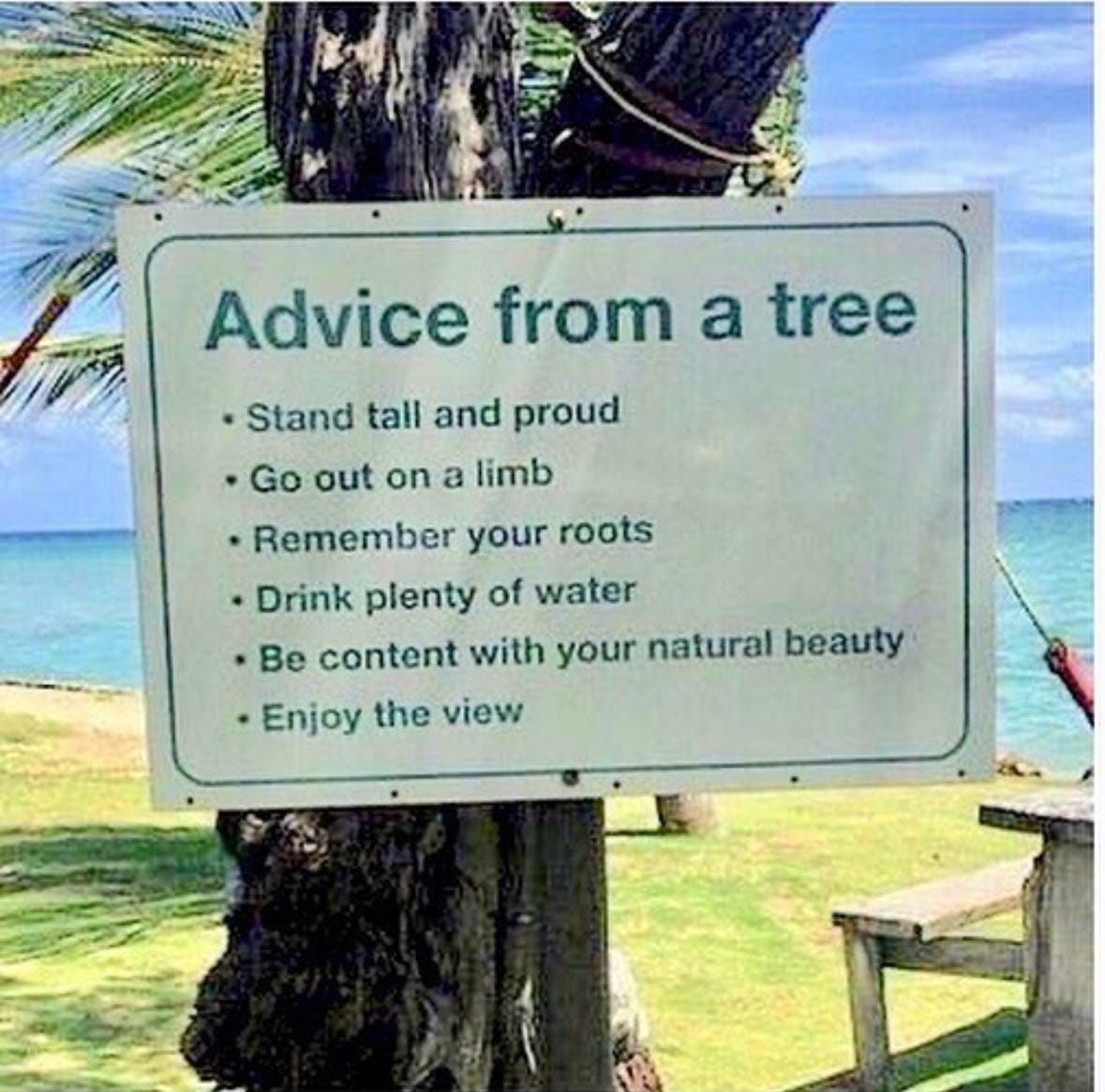 qotd, rumi, sahil bloom, feel better, inspirational quotes, book recs, best books, goodreads, humor, iamthirtyaf, illustrations, mental wellness, friends, positivity, confidence, nice news, art, line drawings, linear theory, new yorker qotd, rumi, sahil bloom, feel better, inspirational quotes, book recs, best books, goodreads, humor, iamthirtyaf, illustrations, mental wellness, friends, positivity, confidence, nice news, art, line drawings, linear theory, new yorker