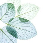 The Resilient Creative