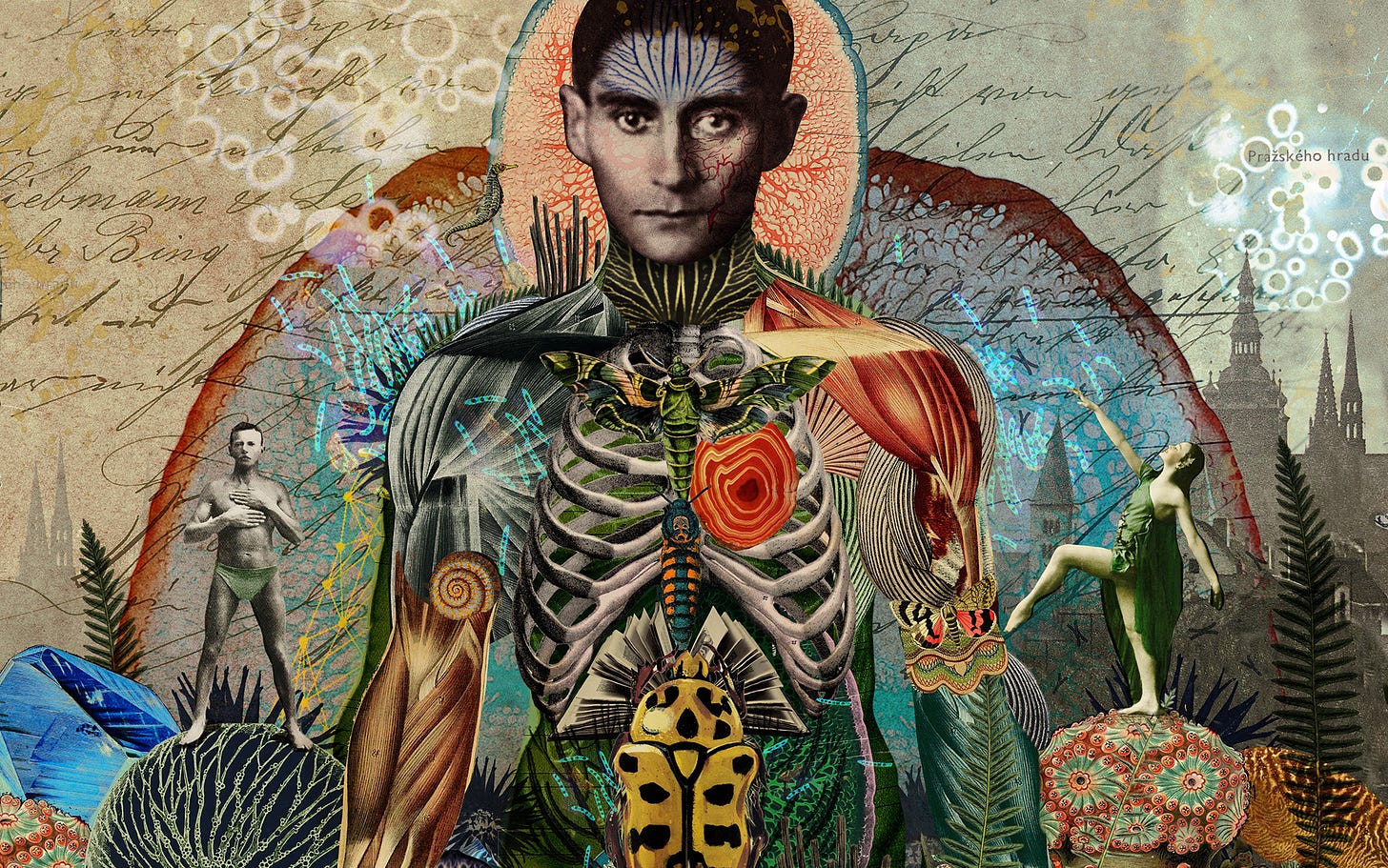 A Hunger Artist | Travel Between The Pages