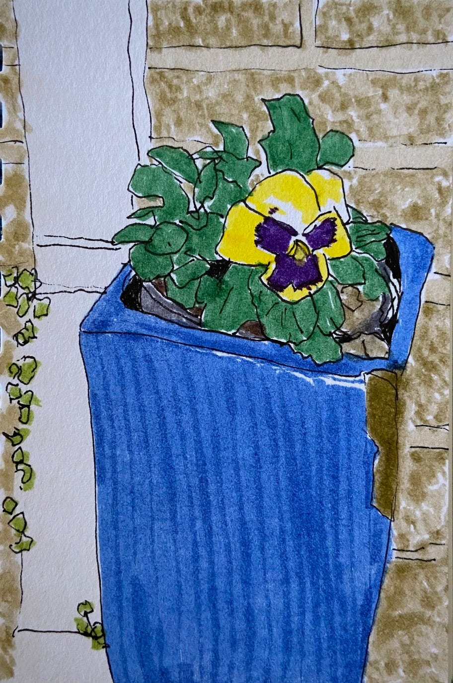 A drawing in markers of a yellow and purple pansy in a large blue pot against a brick wall. 