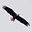 BillyMakesnoise's avatar