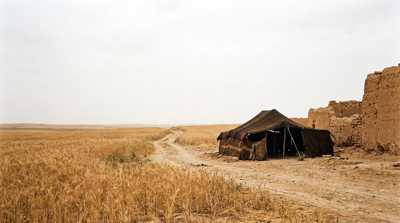 A dry wheat field under a hard white sky outside a walled town in the Negev, a single goat-hair tent pitched at its edge, a dusty road running south, no people, no text A dry wheat field under a hard white sky outside a walled town in the Negev, a single goat-hair tent pitched at its edge, a dusty road running south, no people, no text