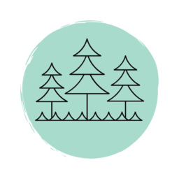 Substack profile picture for @maine