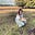 Izzy Seadon-The Naturopath's avatar