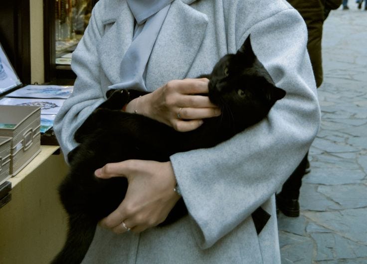 This may contain: a woman holding a black cat in her arms on a sidewalk with people walking by