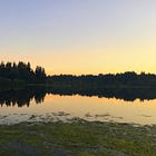 Cap-and-Invest Climate and Energy Policy Lead at WA State Department of Ecology