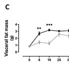 Quick Study Analysis: What Diseases Do Seed Oils Cause? (Part 1)