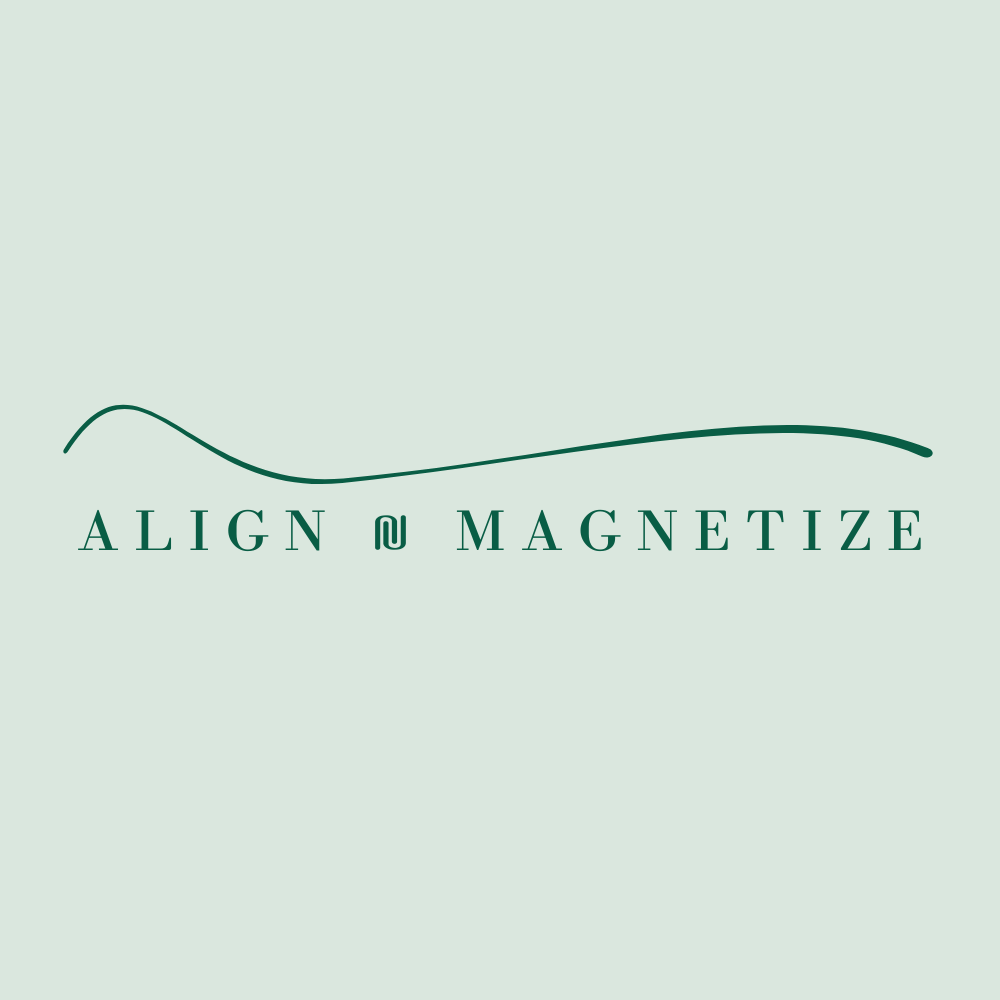 Align & Magnetize