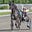 Horse Racing Fans's avatar