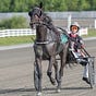 Horse Racing Fans's avatar