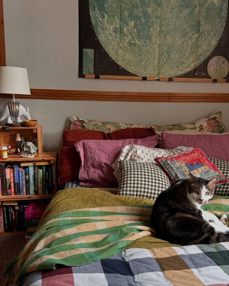 This may contain: a black and white cat laying on top of a bed next to a book shelf