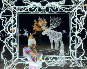 Edmonton Playgrounds Holiday Light ups and Santa Parades Lights in the Park