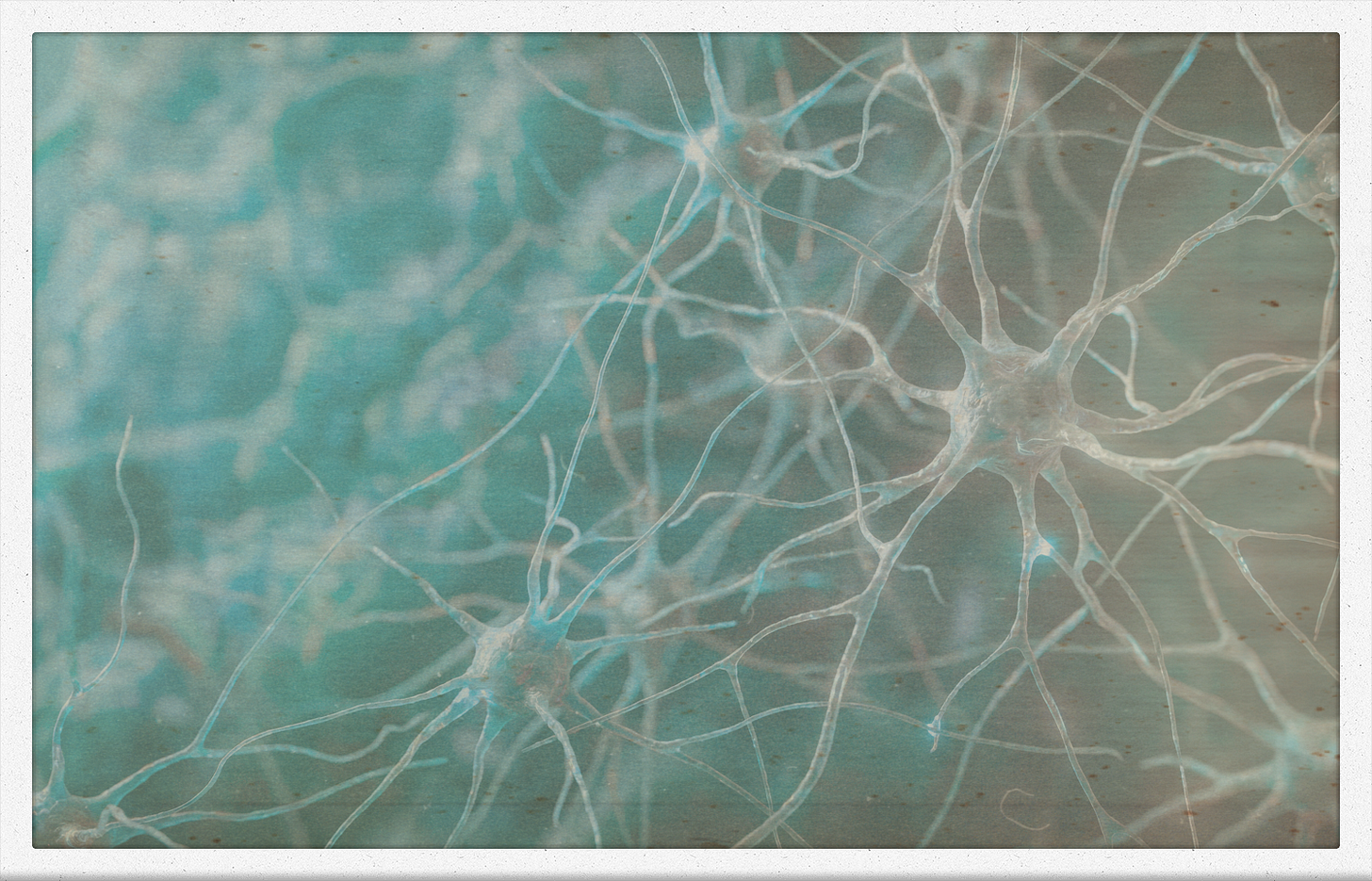 Digital Sleep by Ray Robinson Digital Sleep by Ray Robinson