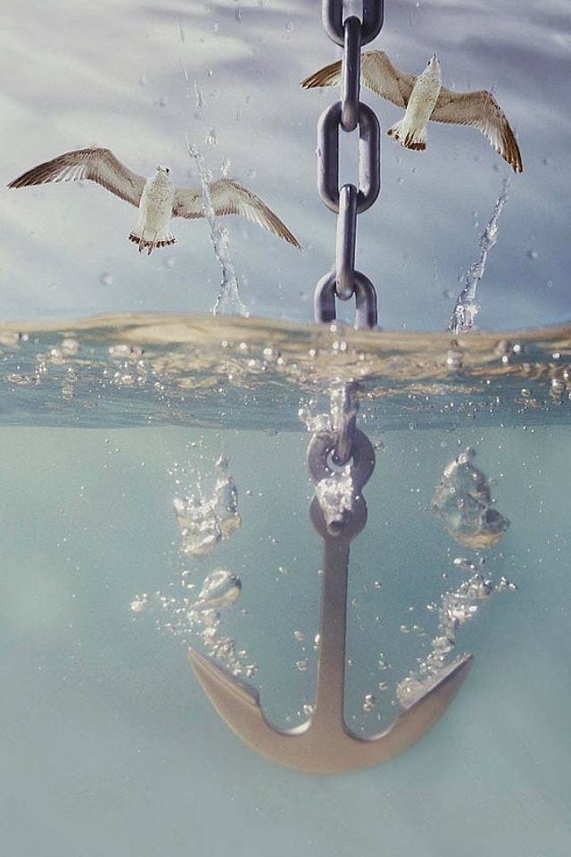 A metal anchor on a chain dropping into clear blue water with seagulls flying overhead against a bright sky.