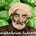 Basil's avatar