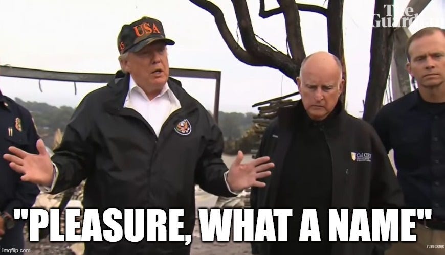 Standing in front of a burned out home, Donald Trump, wearing a jacket with the presidential seal and a 'USA - 45'  baseball cap, speaks to reporters, his hands spread wide. Large meme caption repeats his misnaming of the town of Paradise, California: 'Pleasure, what a name!'