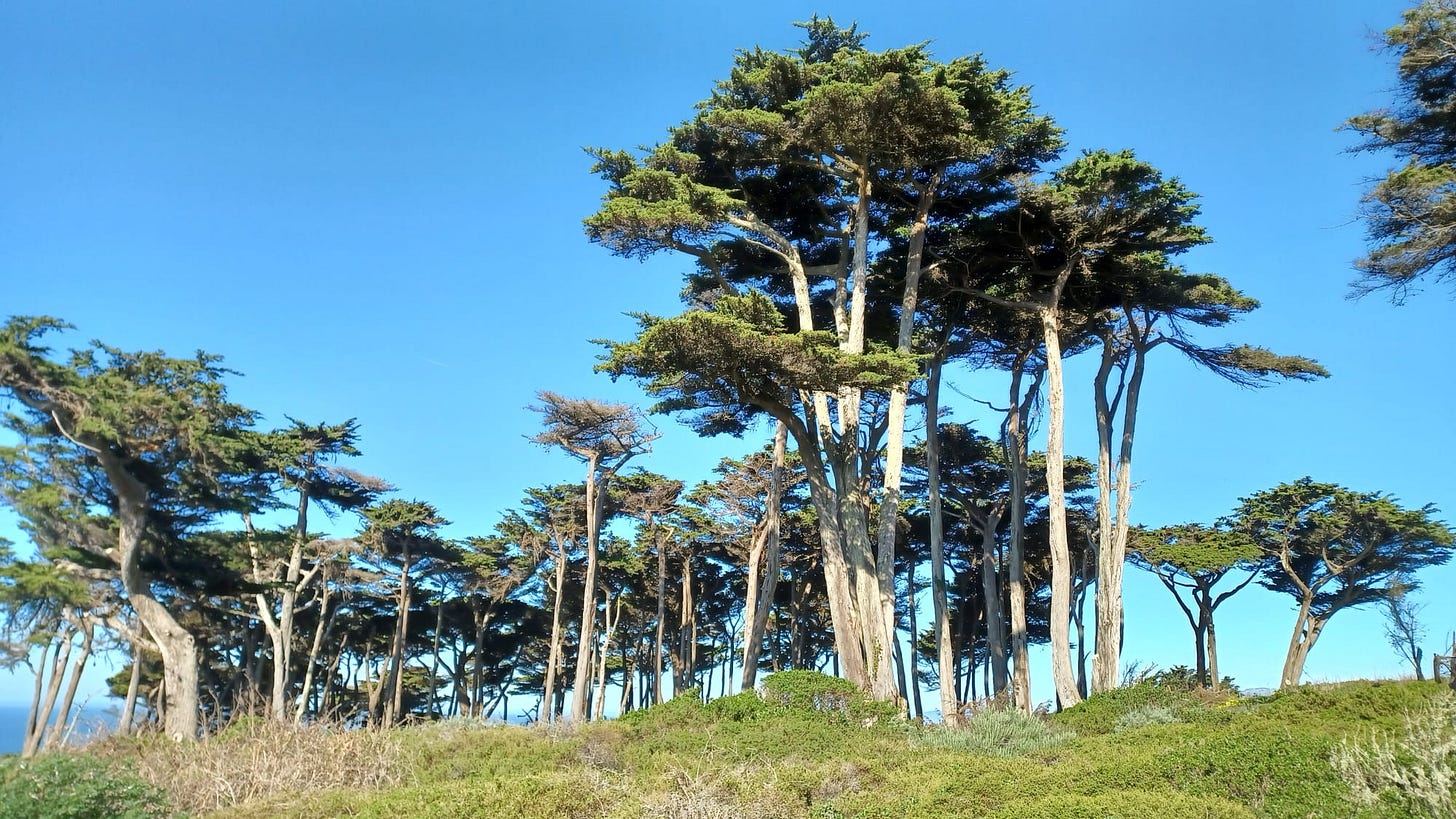 A week-long guide to San Francisco