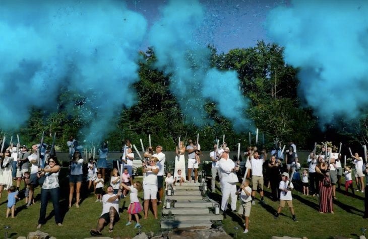 gender reveal