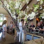 Hawks View Cellars tasting room Linda Kissam explores Oregon's Great Grapes
