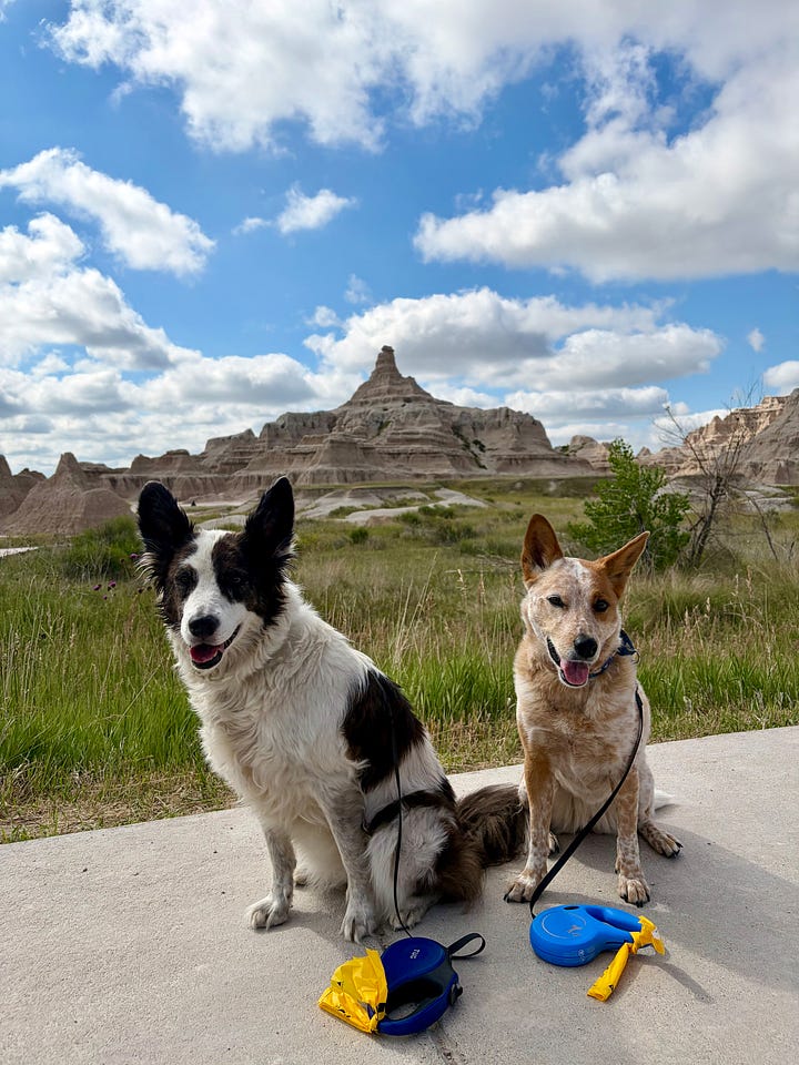 two cattle dogs, a man, and a woman in South Dakota and North Dakota