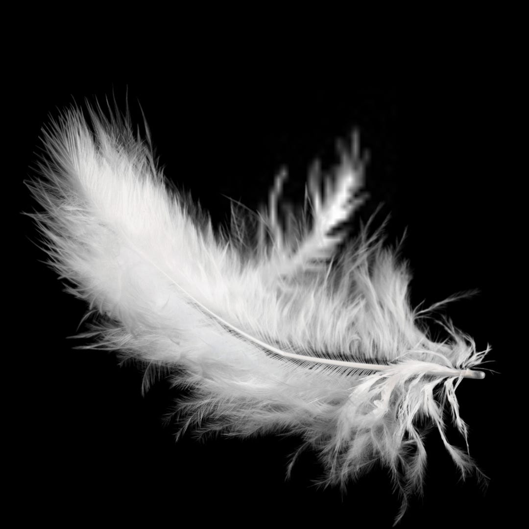 Artwork for A Satisfied Mind