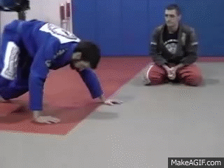 Brazilian Jiu-Jitsu Strength Training Animal Walks - Bear Walk on Make a GIF