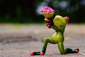 i-beg-your-pardon-excuse-me-frog-sweet