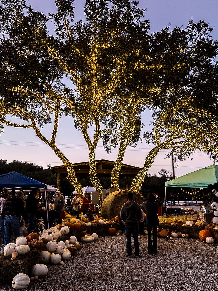 Salt Creek Inn and Market / all photos by author