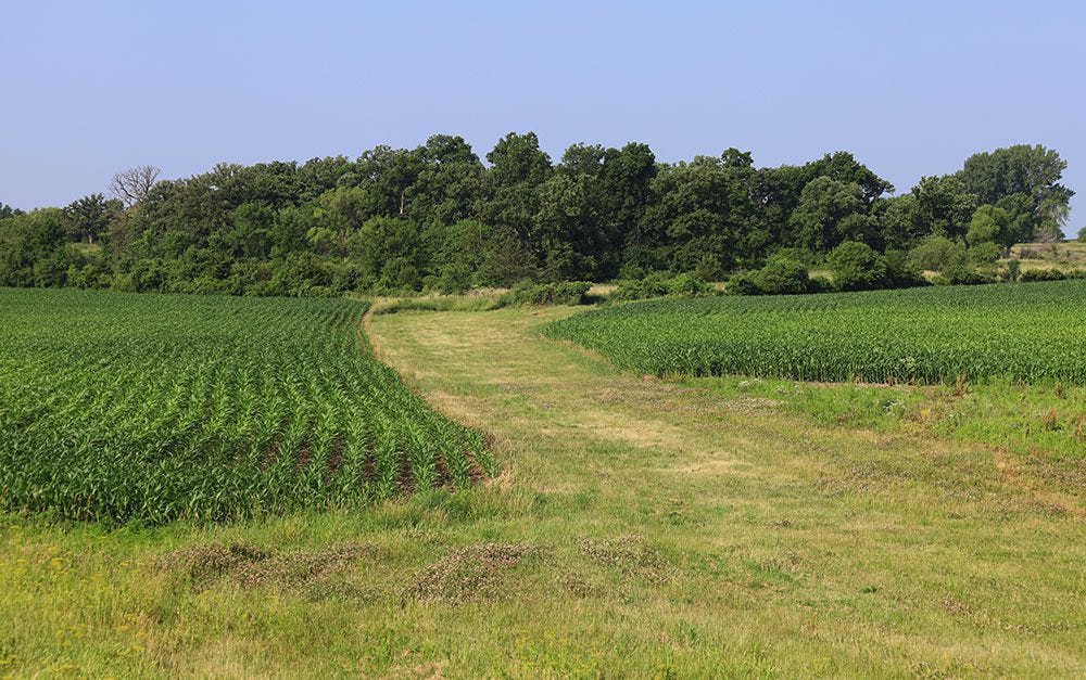 farm rows farm rows