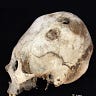 Anthropology.net
