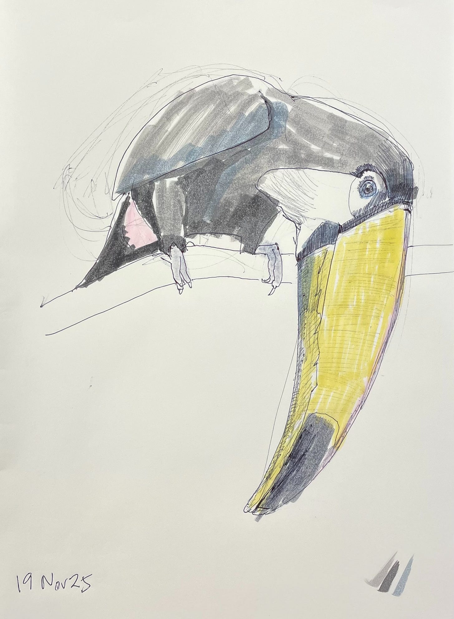 Ballpoint and marker sketch of a toucan, loosely drawn with visible errors.