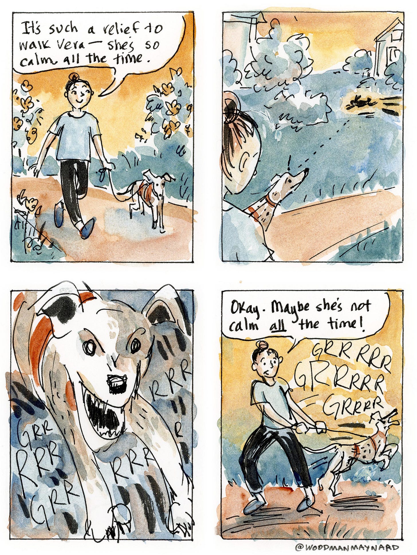 K. Woodman-Maynard, watercolor diary comic, walking new dog vera as she sees a squirrel. Panel 1 text reads: “It’s such a relief to walk Vera- She’s so calm all the time.” Panel 4 text reads:”Okay. Maybe she's not calm all the time!” 