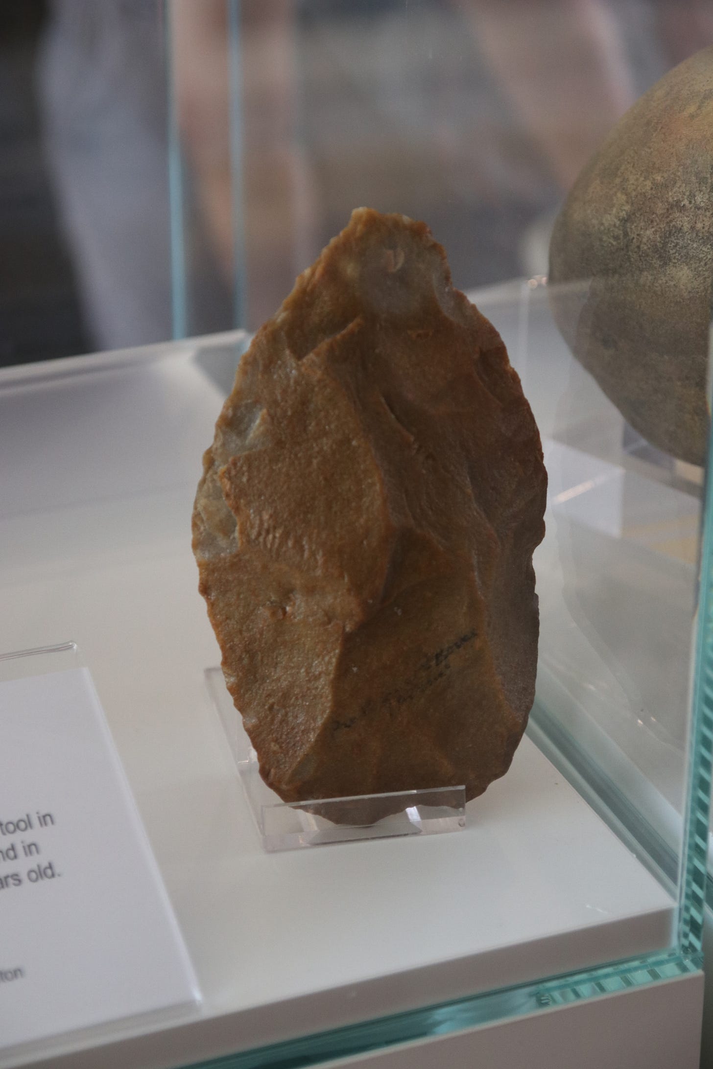Acheulean handaxe found in southern England, on museum display. This is an example of a later stone-tool tradition, not a Lomekwi artifact. Acheulean handaxe found in southern England, on museum display. This is an example of a later stone-tool tradition, not a Lomekwi artifact.
